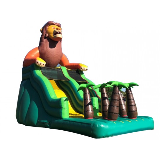 Lion Slide