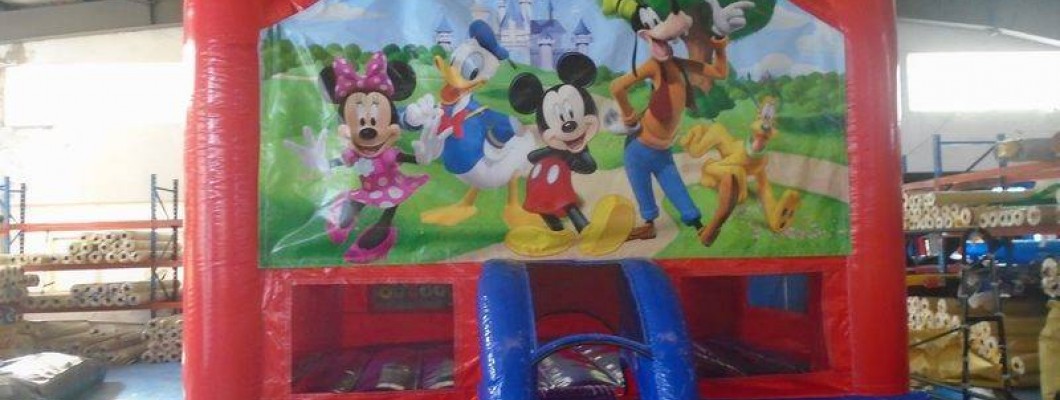 Is Bouncy Castle business profitable?