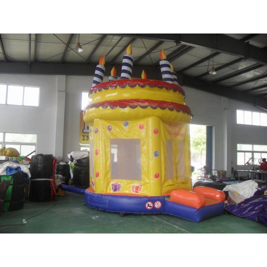 Birthday Bouncy Castle