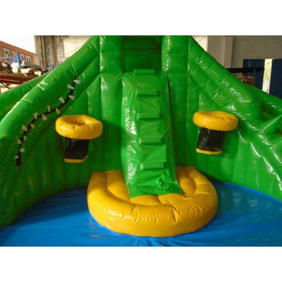 Kids Inflatable Water Slide