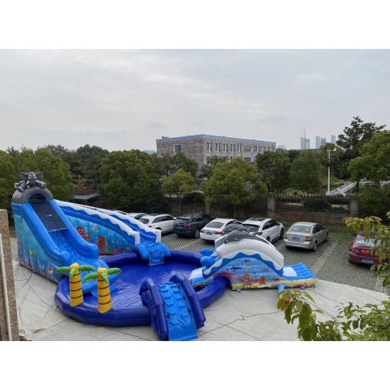 Dolphin Inflatable Water Park