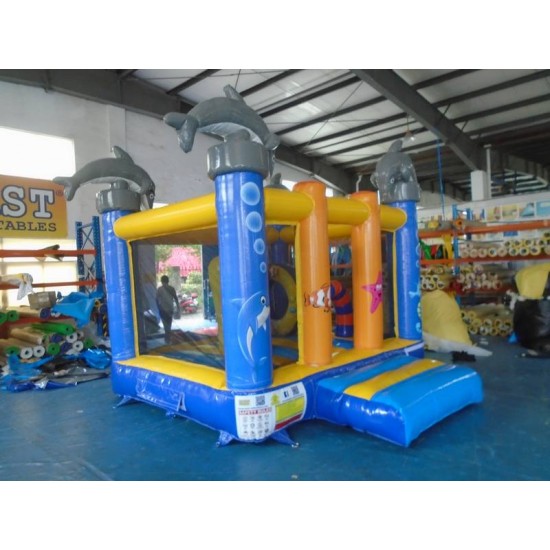 Pirate Bounce House