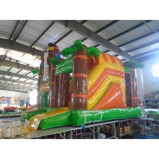 Pirate Bounce House With Slide